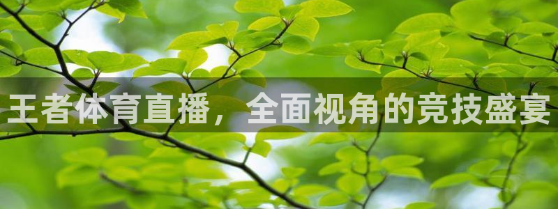 王者体育直播，全面视角的竞技盛宴
