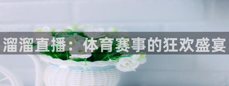 溜溜直播：体育赛事的狂欢盛宴
