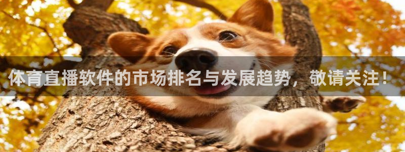体育直播软件的市场排名与发展趋势，敬请关注！